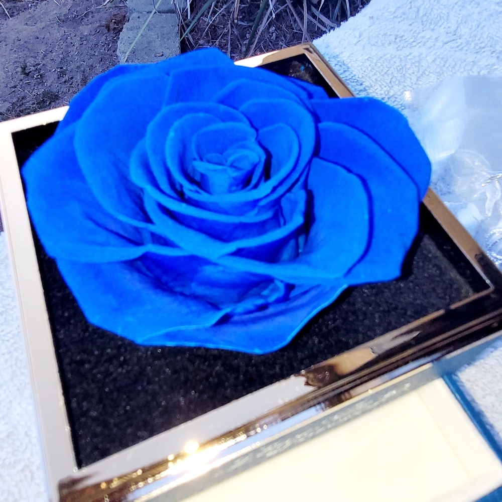 Meet your Posher, Rachael